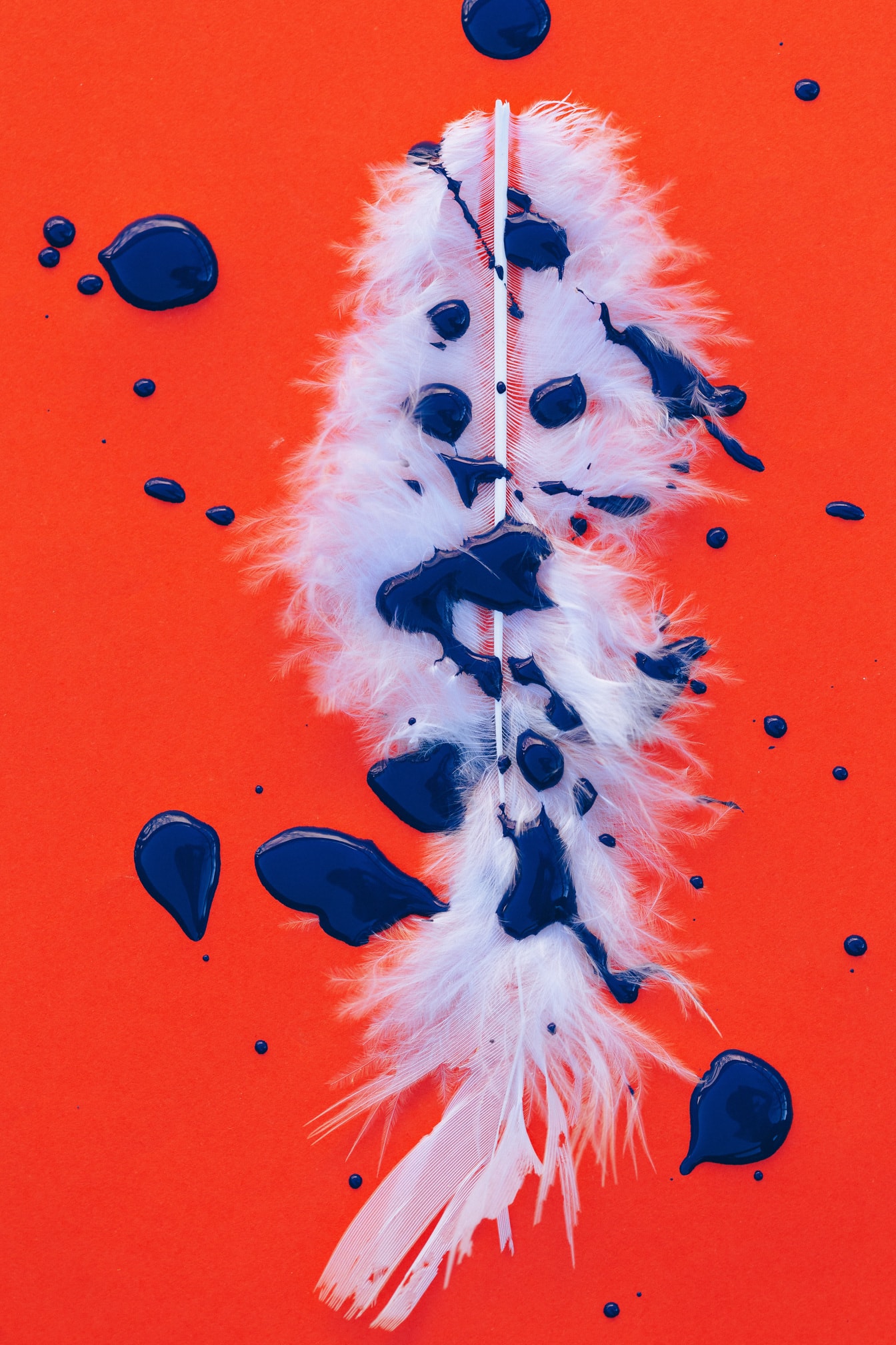 Hvit fjær med sprut av mørk blå akvarellmaling på nærbilde av rødlig bakgrunn