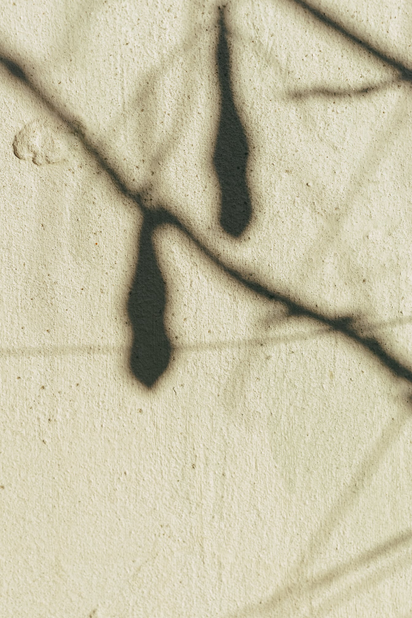 Textur av skuggan av grenar på gulaktig grov vägg