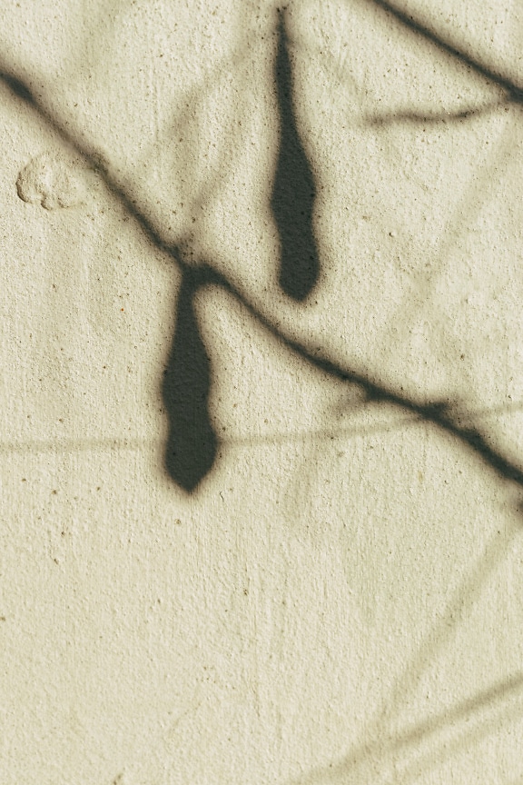 Tekstur bayangan cabang pada dinding kasar kekuningan