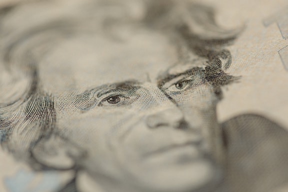 Sépiová makro fotografie americké dvacetidolarové bankovky s portrétem Andrewa Jacksona