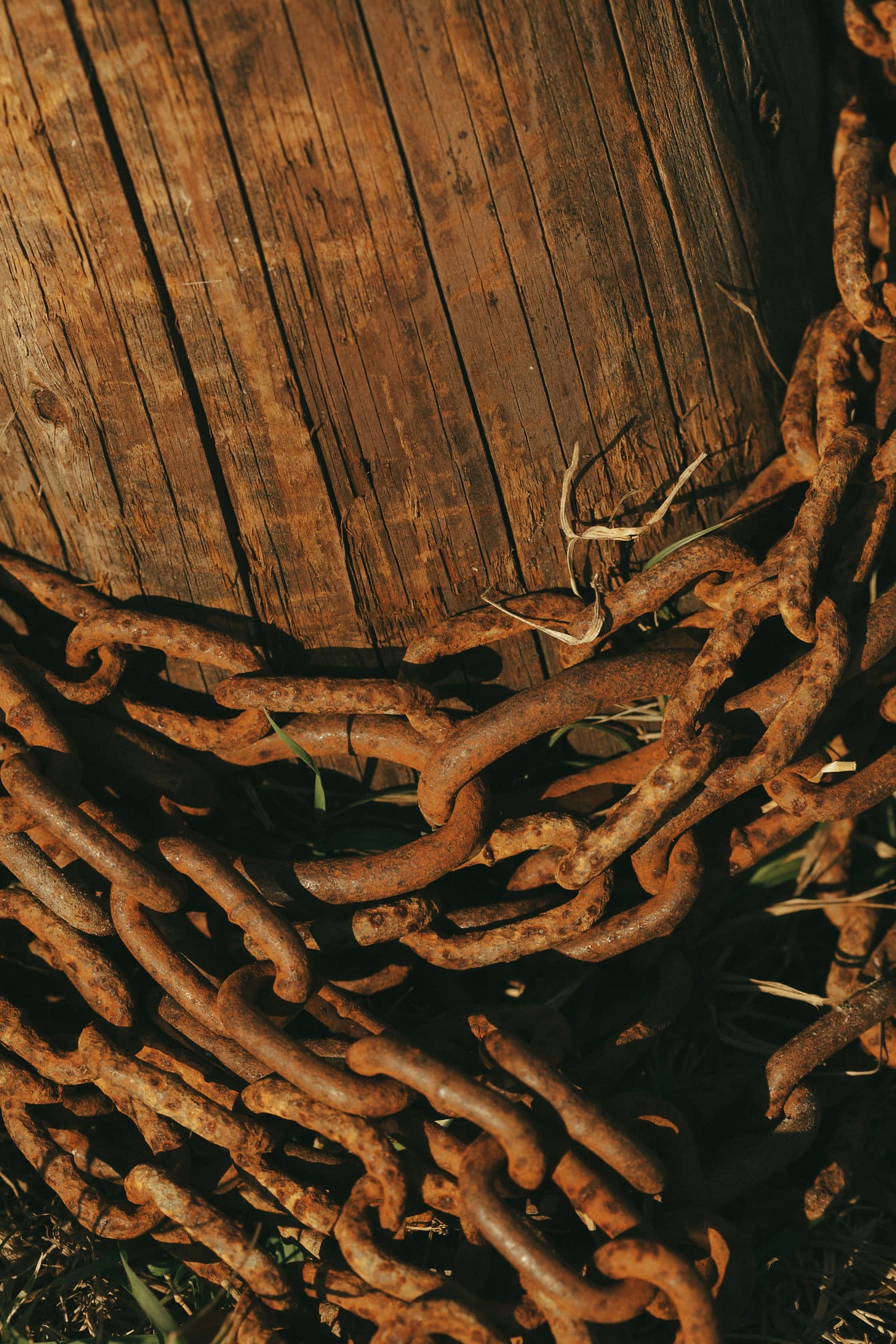Rustika rostkedjor i gjutjärn på gammal stolpe av lövträ