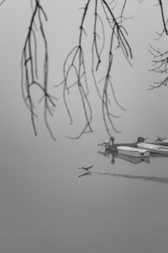 Photographie monochrome de bateaux de pêche dans un port brumeux