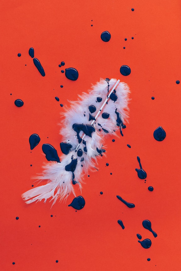 Dark blue watercolor splash on white feather on reddish background