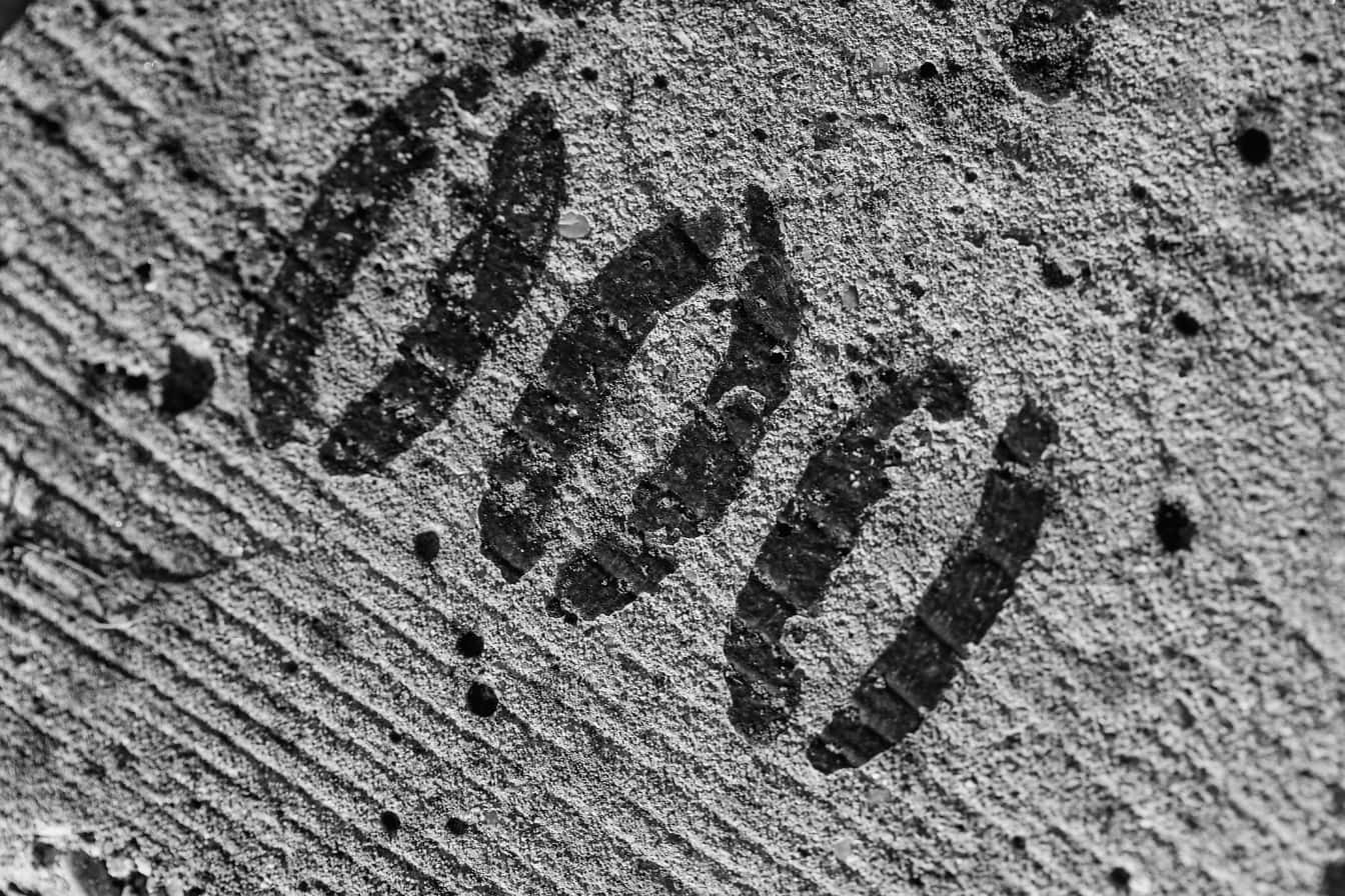 Foto monokrom angka nol hitam pada beton kasar grunge