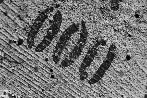 Monochrome photo of black zero number on grunge rough concrete