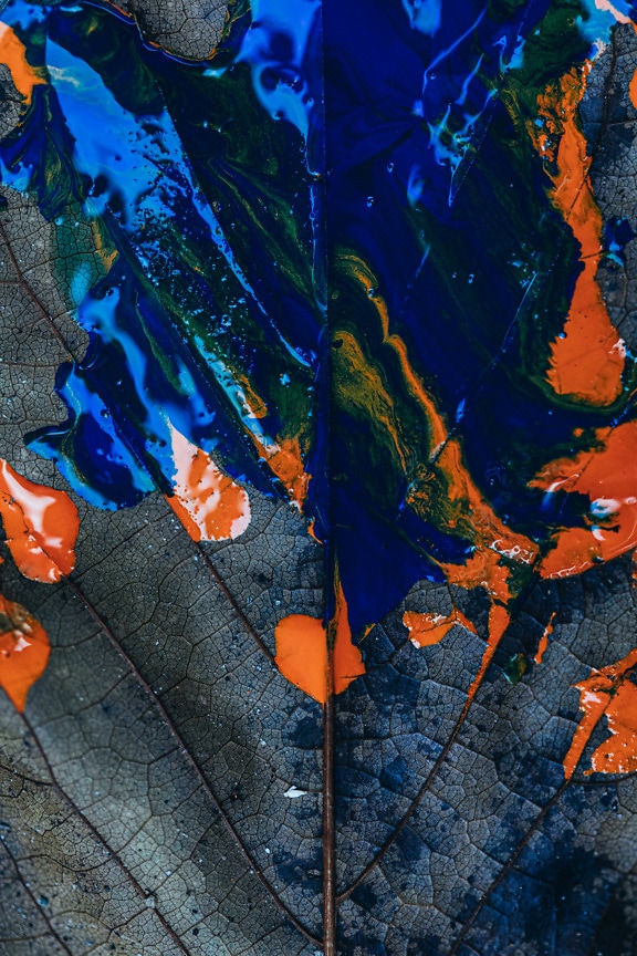 Dark blue and orange yellow watercolor paint on dry leaf macro photograph