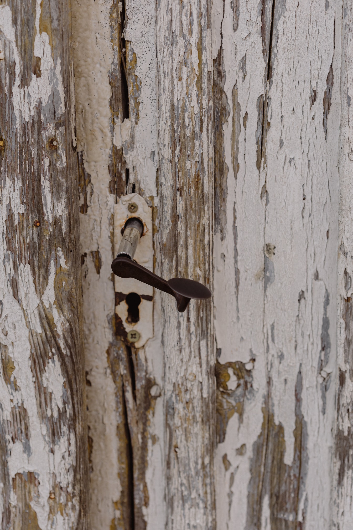 Maçaneta velha da porta de ferro fundido na porta da frente com tinta branca da decomposição