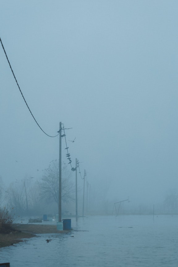 Varjúmadarak telefondróton a ködös, elárasztott folyóparton