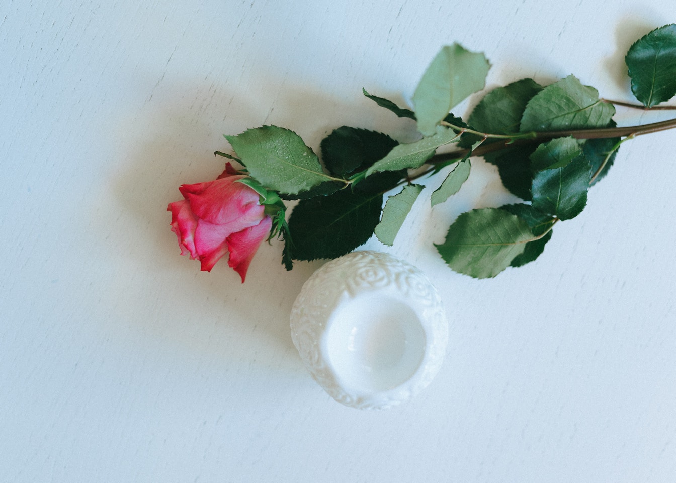 セラミック置物と白い背景にピンクがかったバラのつぼみ