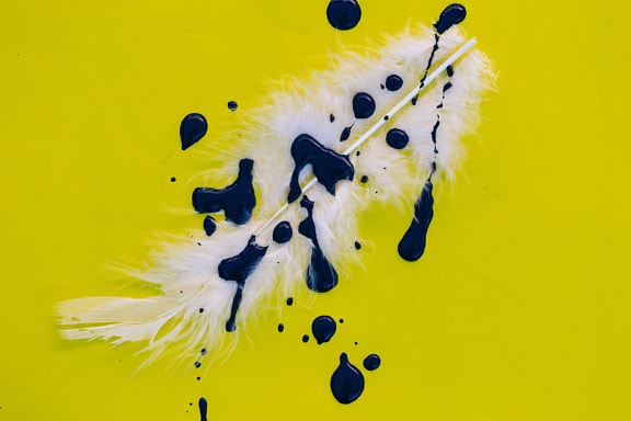 Dark blue watercolor paint splash over white feather on greenish yellow background