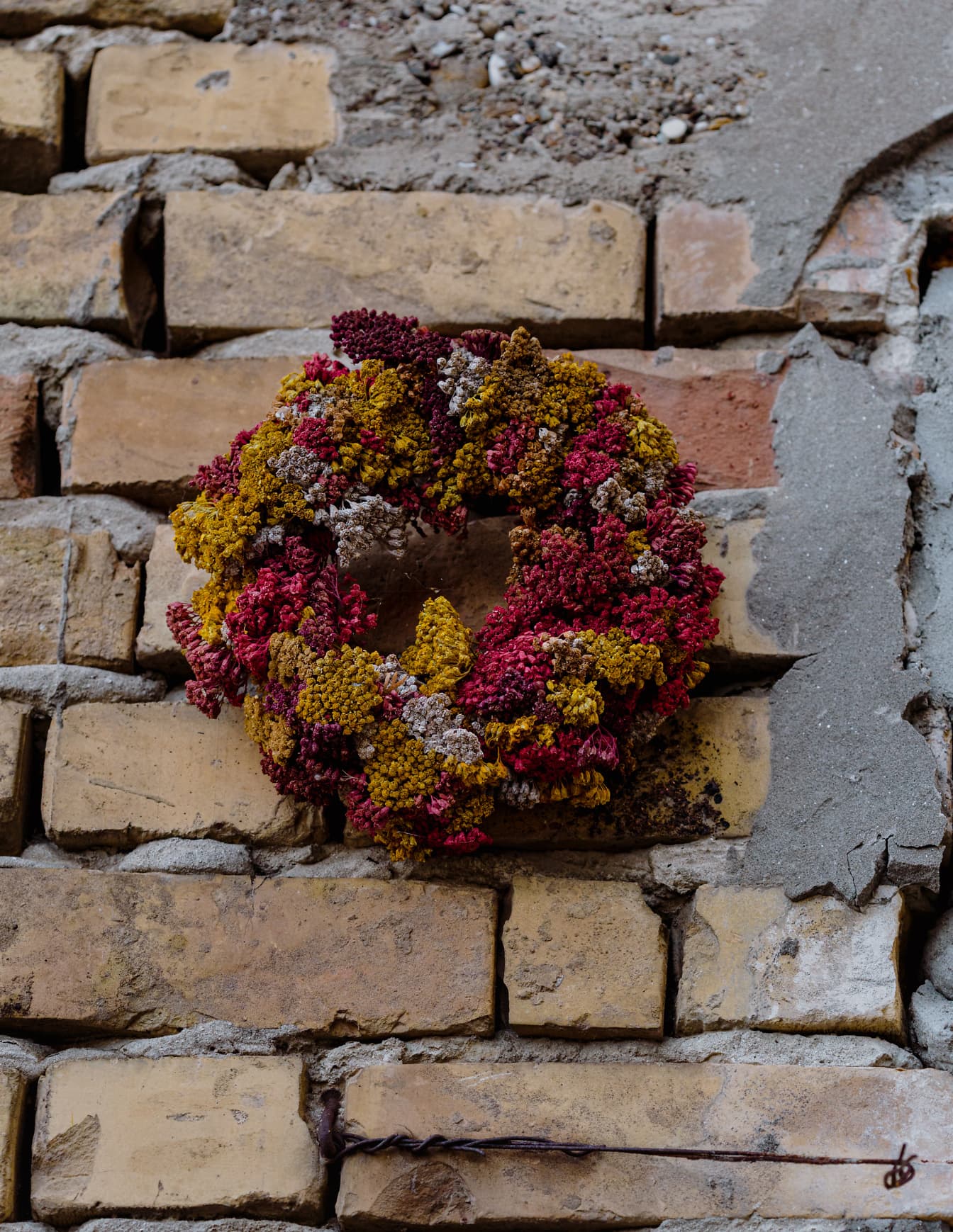 Corona de flores secas en pared de ladrillo áspero