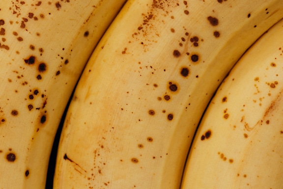 Macro photo of yellowish brown banana peel with stains