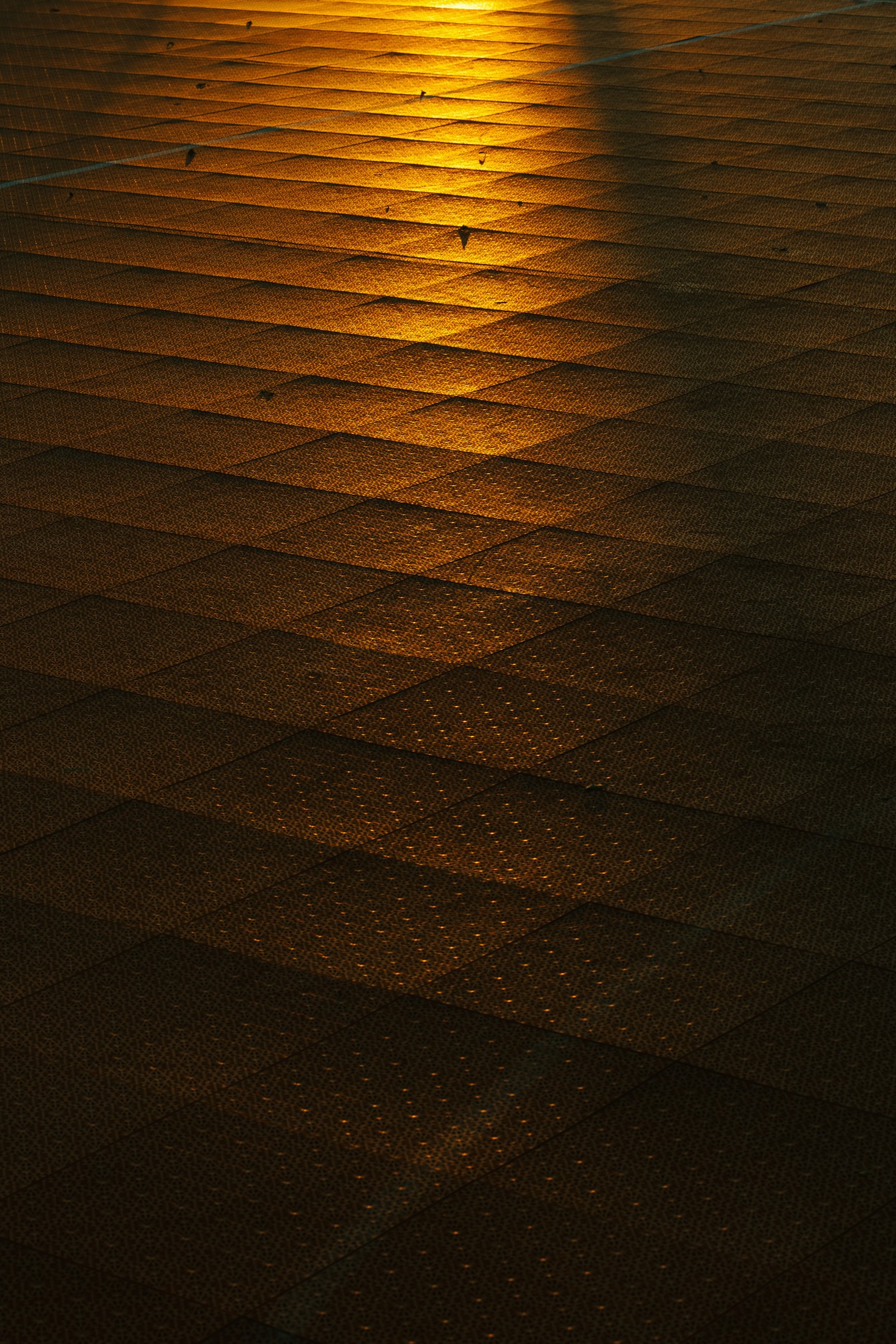 Ánh sáng mặt trời màu vàng cam phản chiếu trên mặt đất với bề mặt nhựa vào lúc hoàng hôn