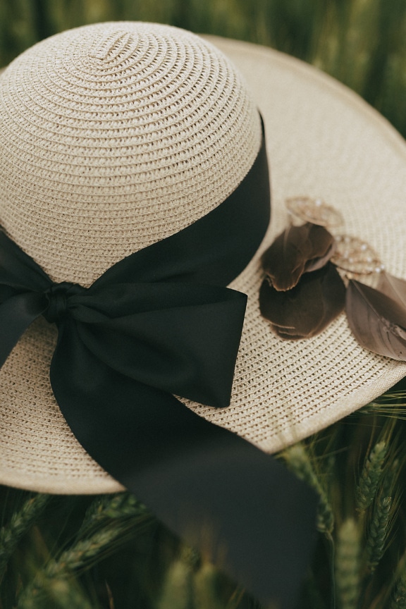 Fancy straw hat with a black ribbon and feathers