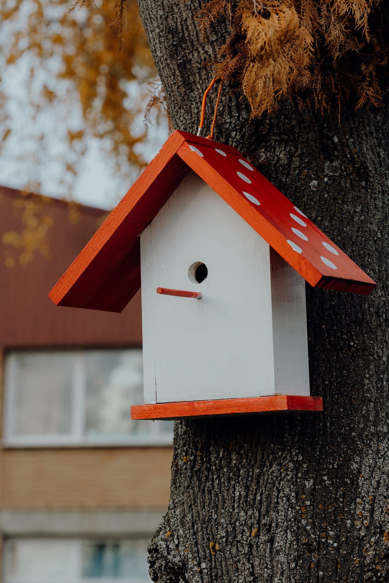 Hermosa casa de pájaros hecha a mano con techo rojo que cuelga de un árbol