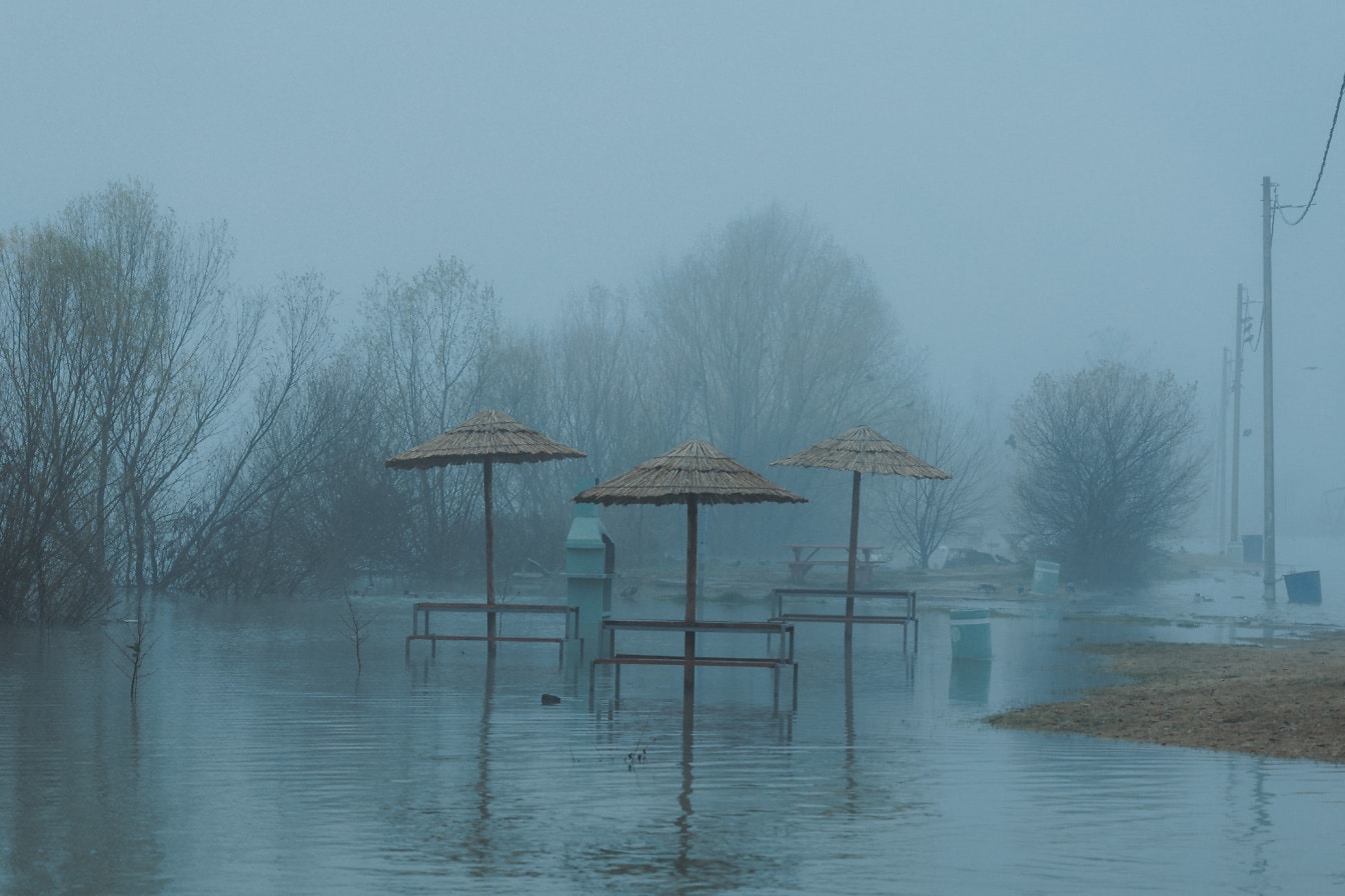 Grupa parasoli na zalanym terenie w mglisty dzień