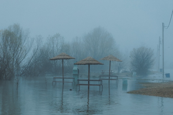 Gruppe parasoller i et oversvømt område på tåkete dag
