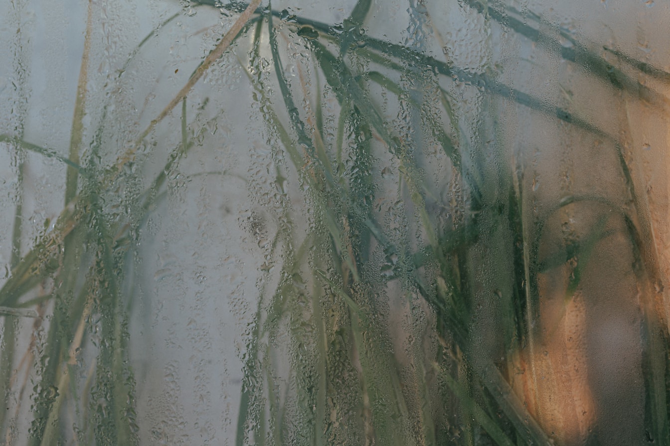 Texture de verre humide avec de l’herbe en dessous