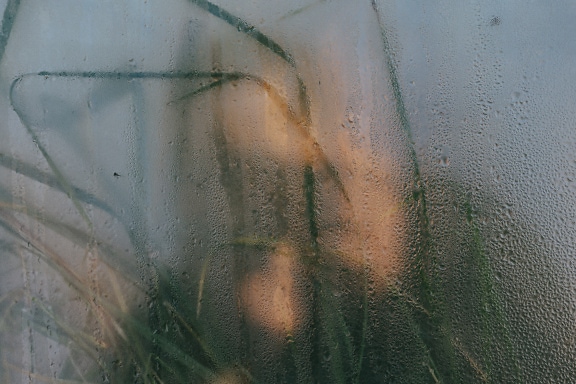 Közelkép egy félig átlátszó, nedvesség textúrájú üvegről