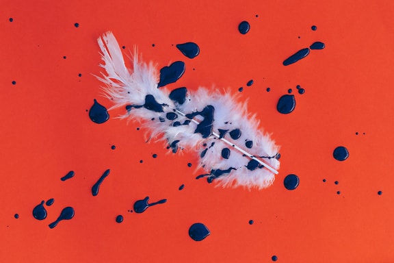 White feather on orange colored background with blue paint splash
