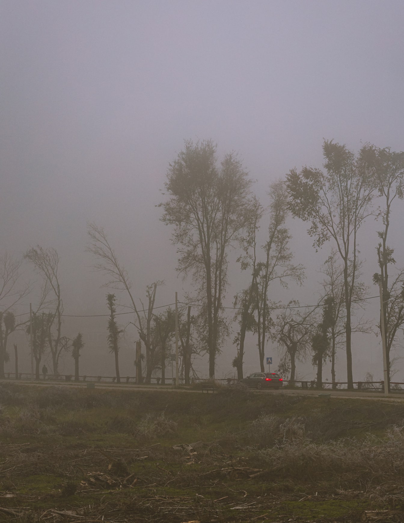 Limuzinski automobil vozi cestom s drvećem u magli