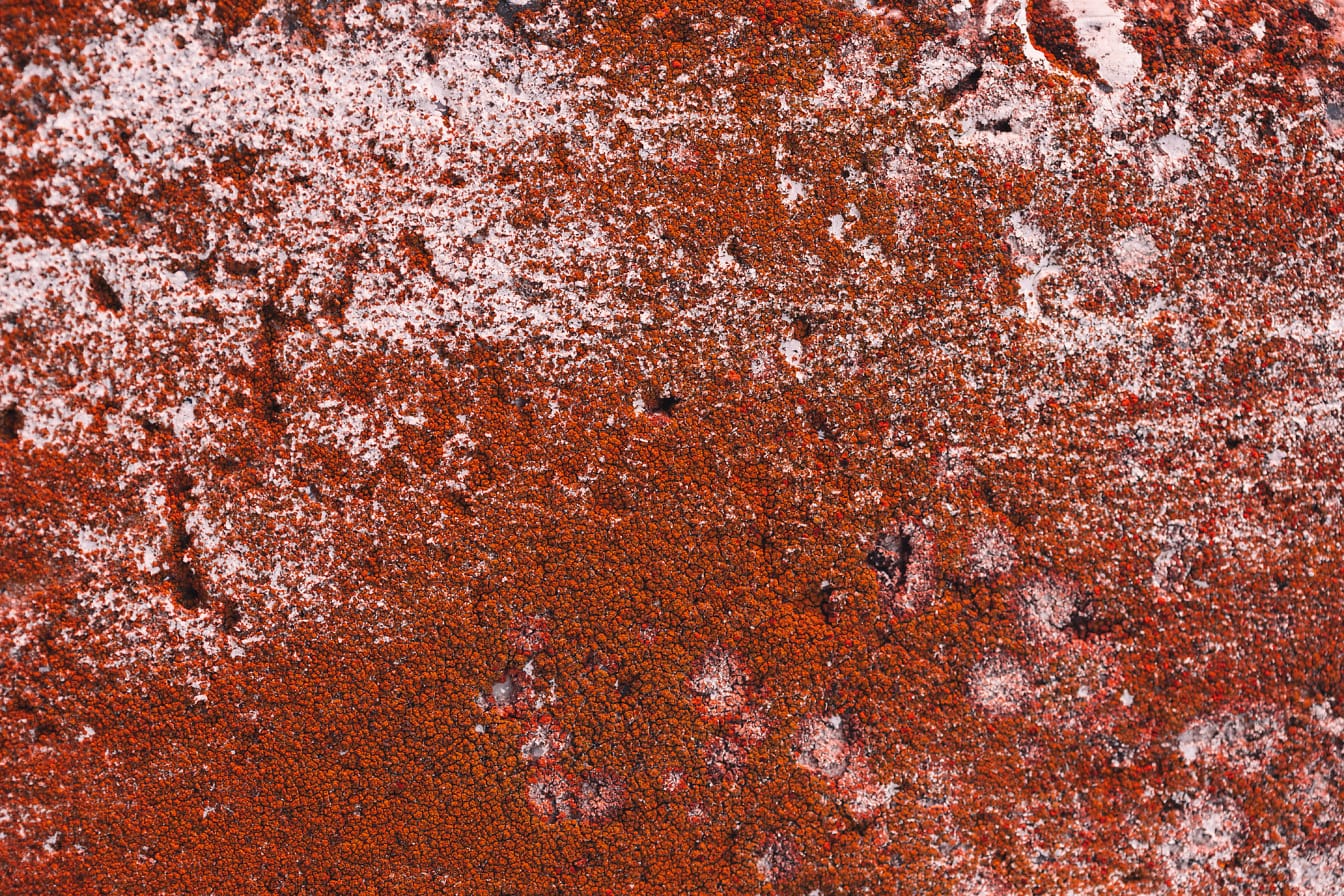 Nærbilde av en tørr, grov, rødlig overflate