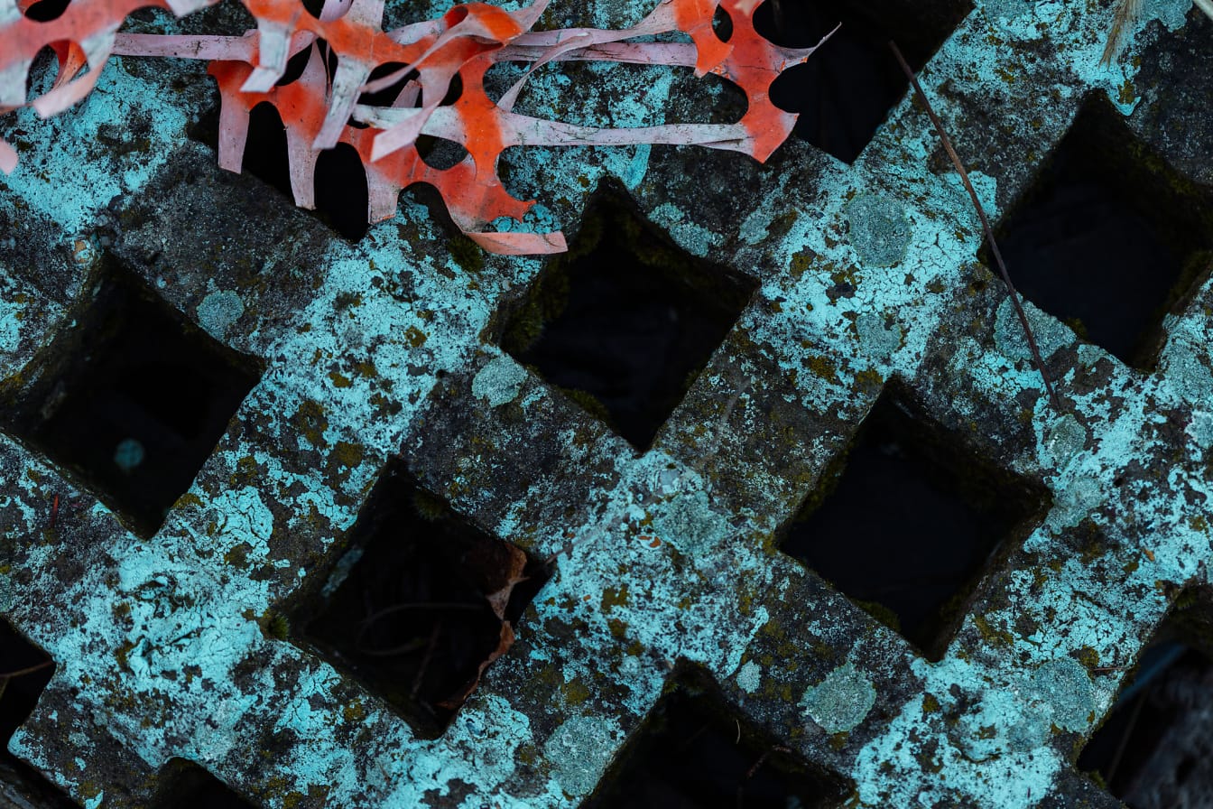 Chaussée en béton brut avec motif géométrique en losange recouvert de lichen