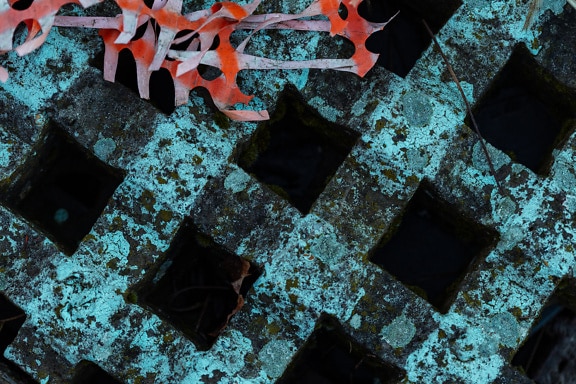 Pavimento de hormigón rugoso con patrón geométrico de rombos cubierto de líquenes
