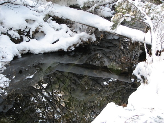 Stream with reflection of snowy branches on cold water and with bushes on riverbank