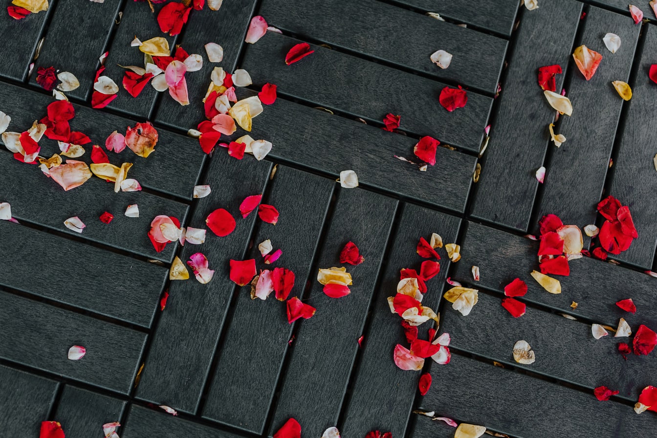 Černý dřevěný povrch s okvětními lístky růží