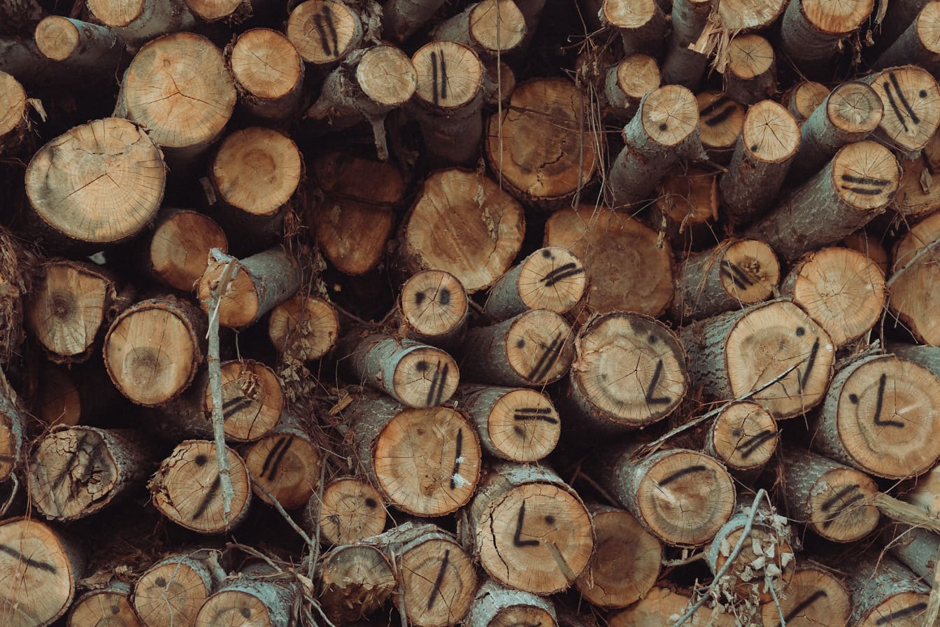 Hromada nařezané kulatiny s průřezem textury dřeva