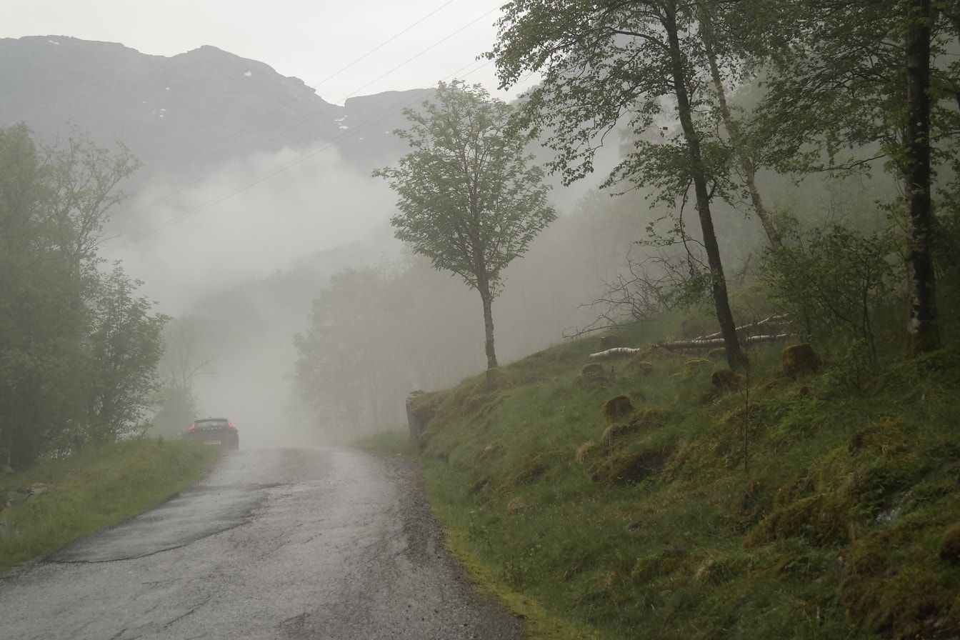 Дорога с деревьями и туманными горами на заднем плане
