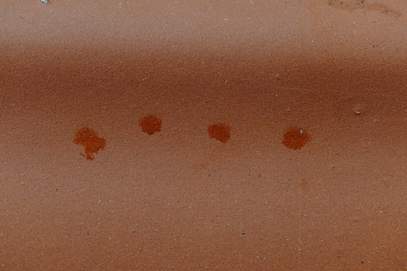 Grupp av mörkröda fläckfläckar på en rödaktig yta