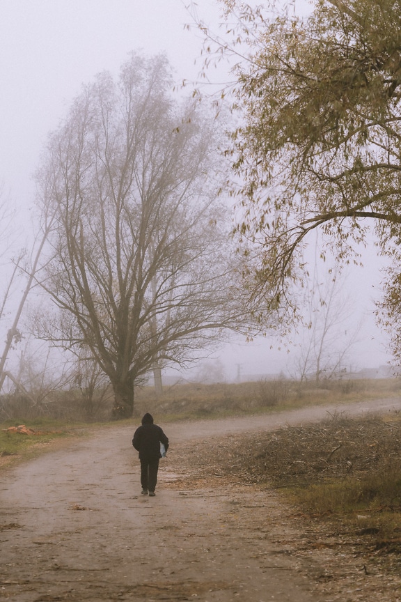 Person walking on a dirt road with trees in the background on foggy day