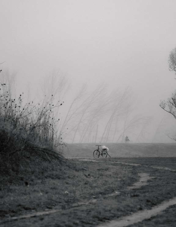 Kerékpár egy ösvényen egy sűrű, ködös parkban fekete-fehér fotó