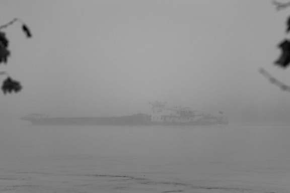 Skip i tett tåke på Donau svart-hvitt fotografi