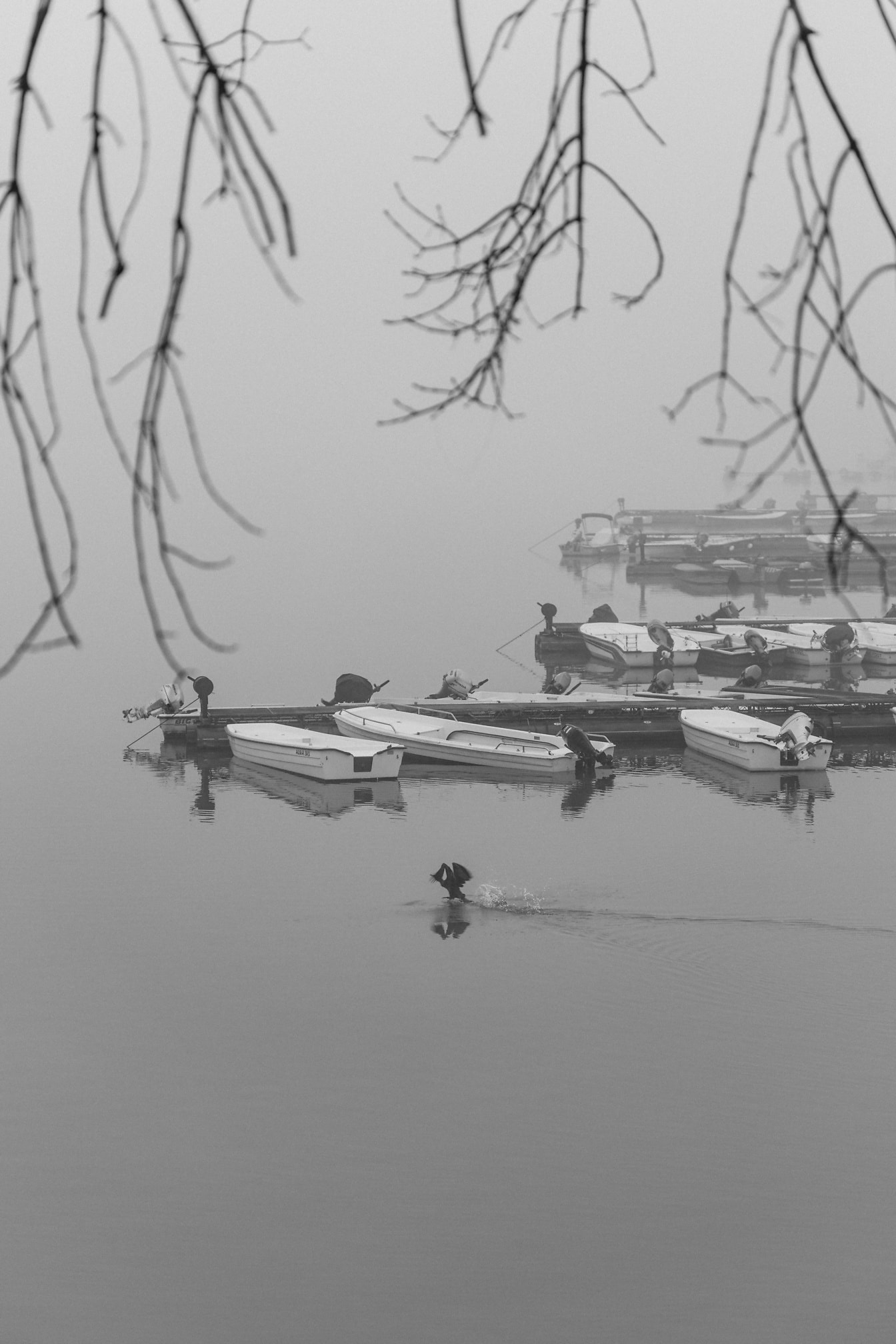Черно-бяла снимка на група малки рибарски лодки в езеро в гъста мъгла