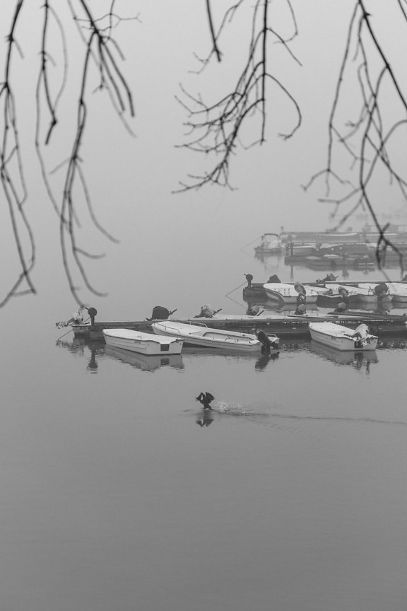 Fekete-fehér fotó kis halászhajók csoportjáról egy tavon sűrű ködben