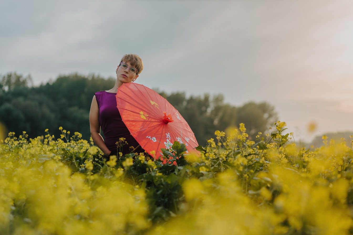ผู้หญิงเย้ายวนใจถือร่มสีแดงในทุ่งดอกเรพซีดสีเหลือง
