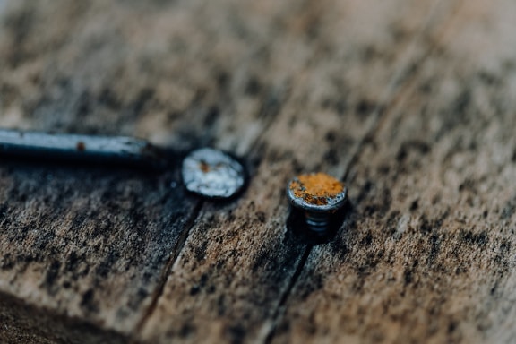Steel nail hammered into a wooden plank close-up photo