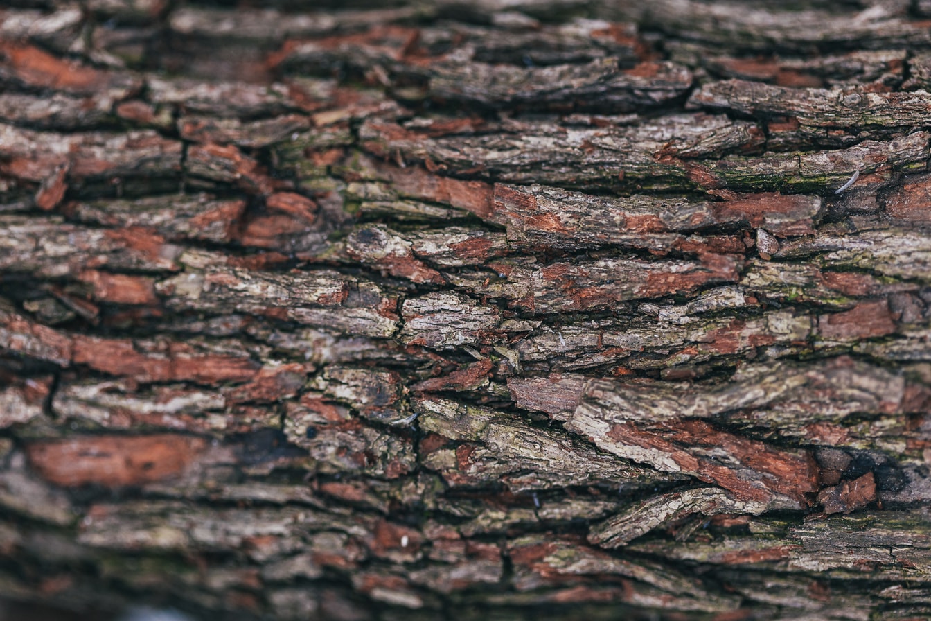 Prim-plan cu o textură aspră de scoarță de copac maro-roșiatică