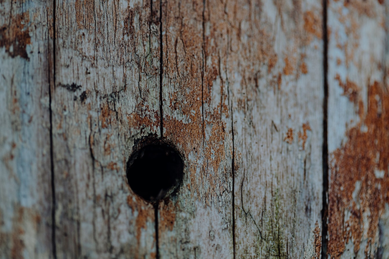 Holz mit abblätternder alter Farbe und einem Loch darin