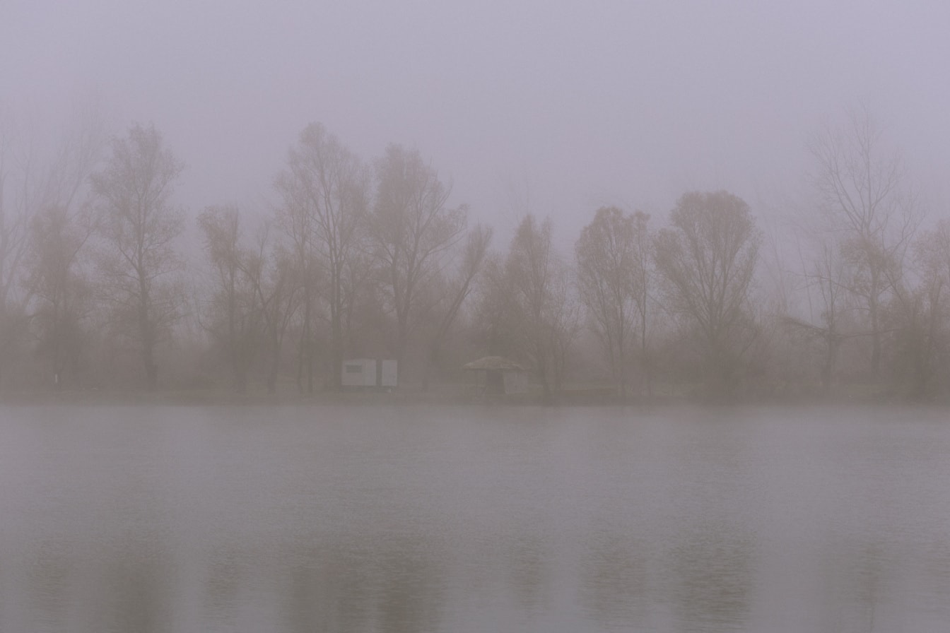 Езерна вода с дървета в гъстата мъгла на заден план