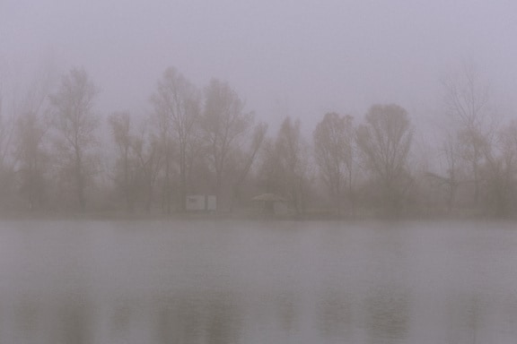 Woda jeziora z drzewami w gęstej mgle w tle