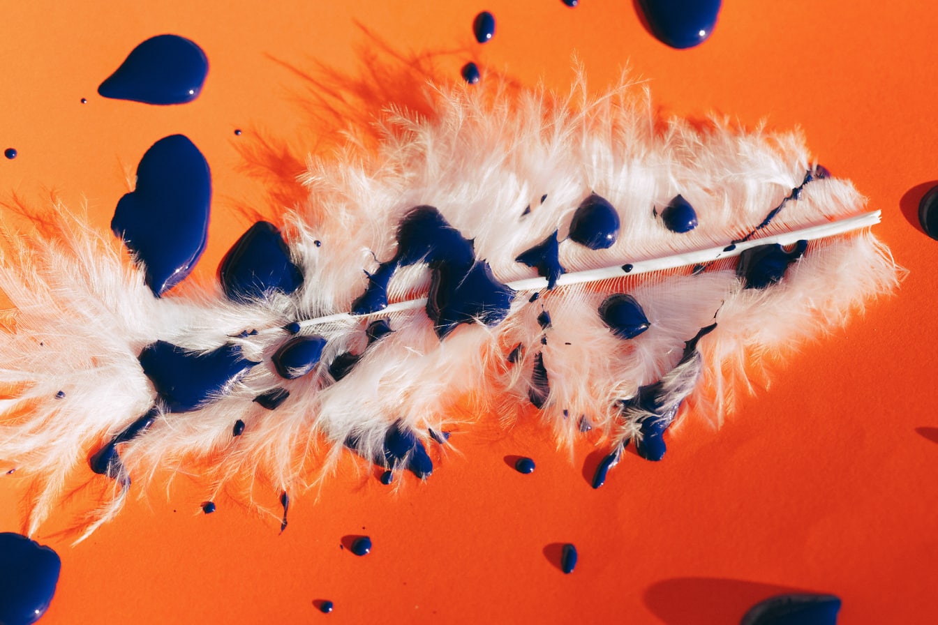 Перо с брызгами синей акриловой краски на оранжевом фоне