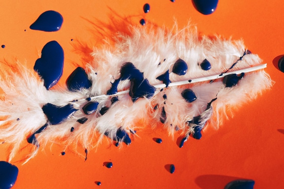 Pluma con salpicadura de pintura acrílica azul sobre fondo de color naranja