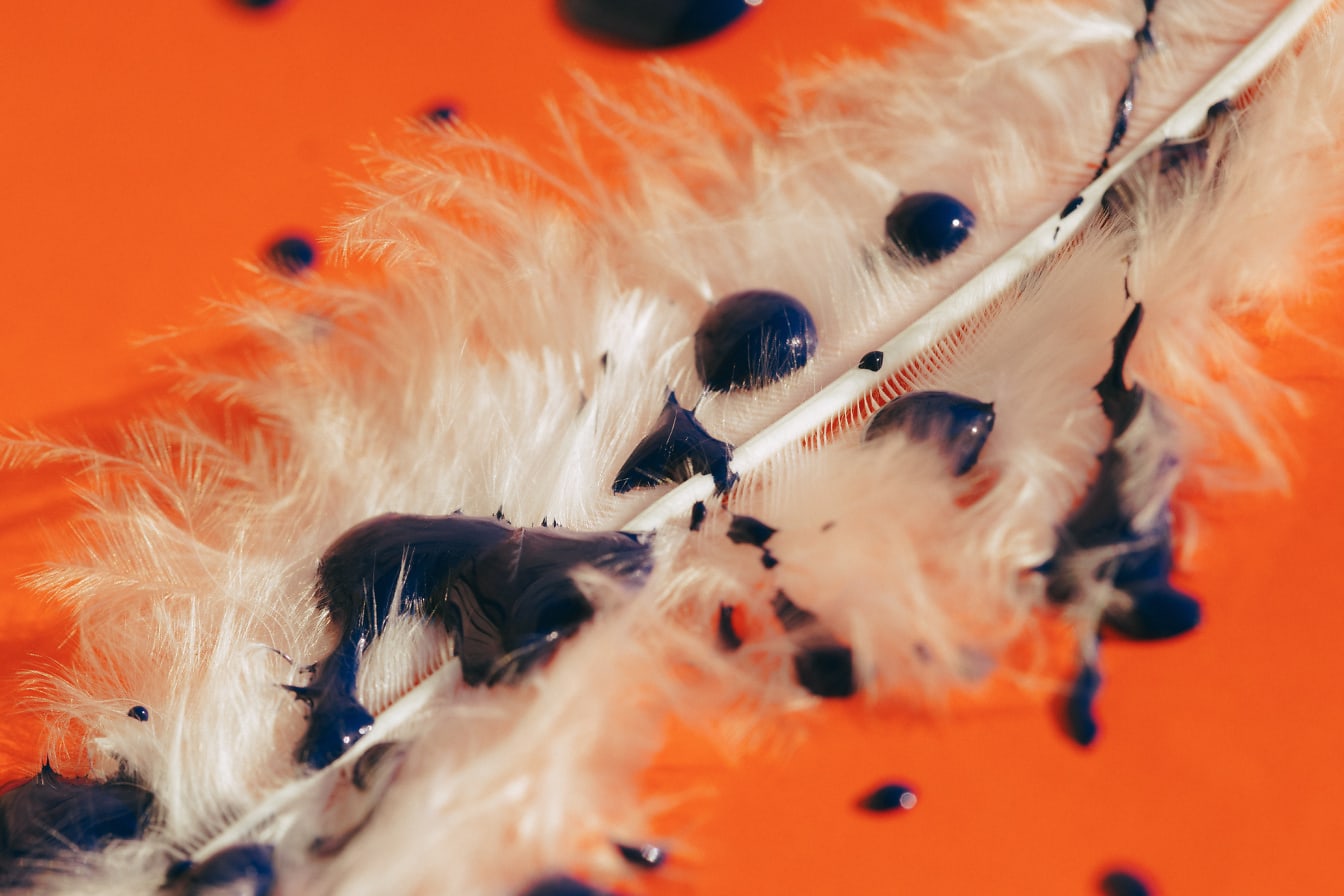 オレンジ色の背景に濃紺のアクリル絵の具が描かれた白い羽根