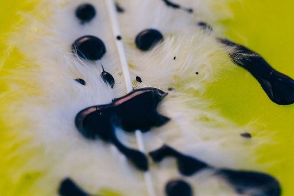 White feather with black acrylic paint dots on it close-up photo