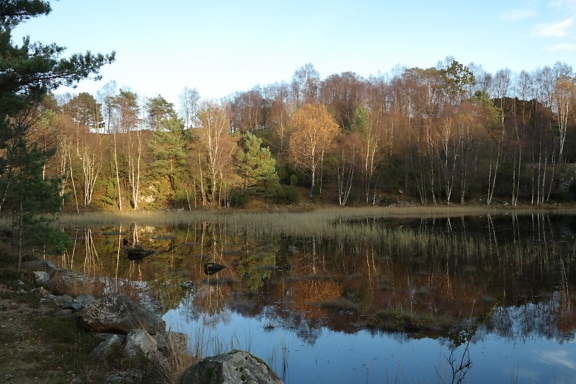 Järvi, jossa on puita ja kiviä rannikolla