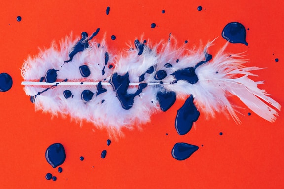 White feather with blue watercolor paint on it